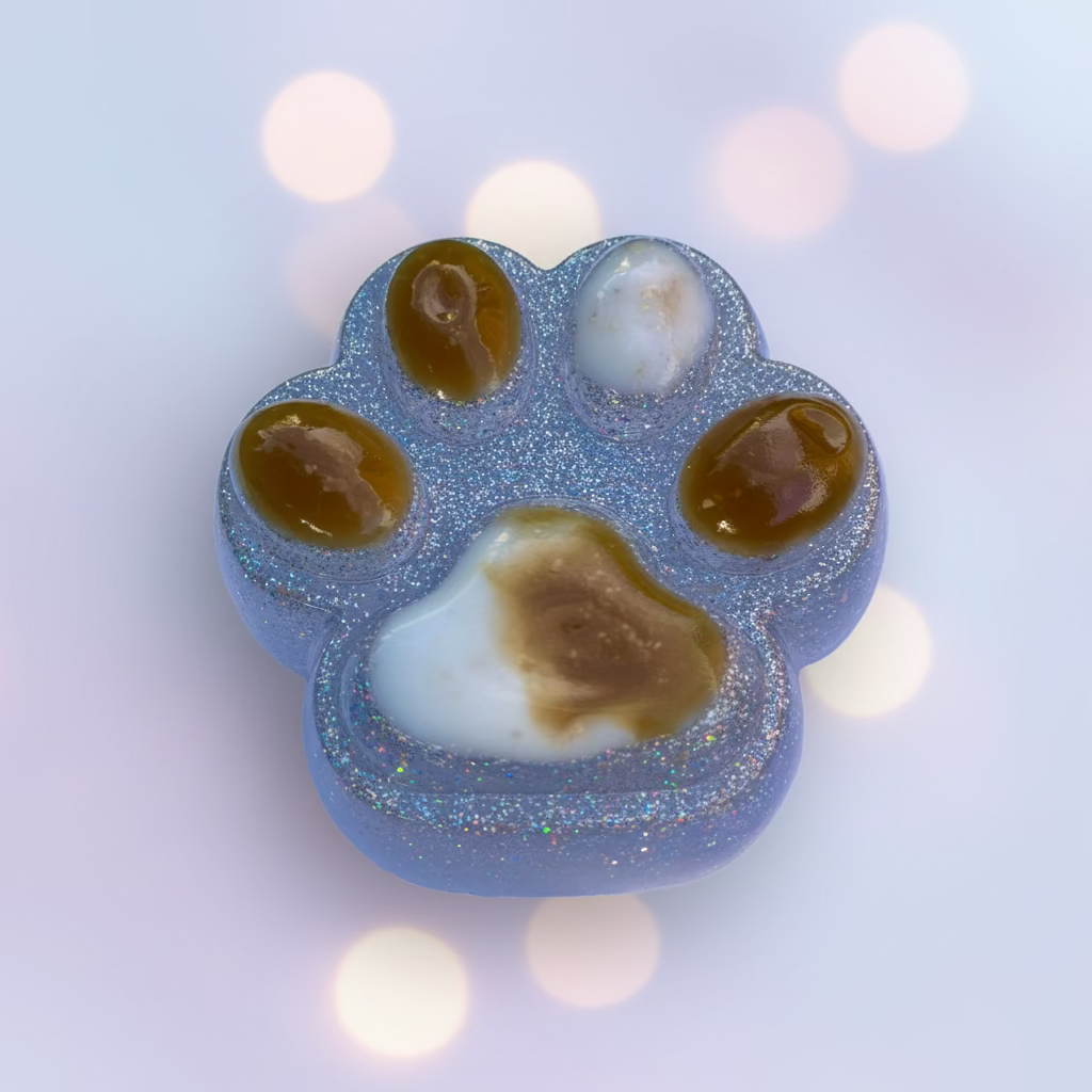 Eternal Keepsake Resin Paw Print